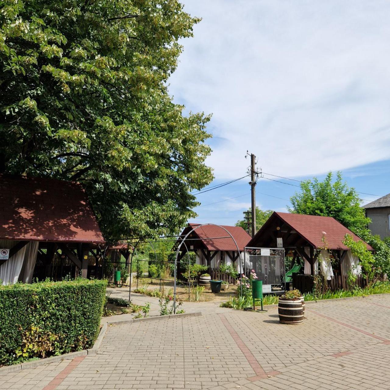 Yanoshi Hotel Helikon מראה חיצוני תמונה