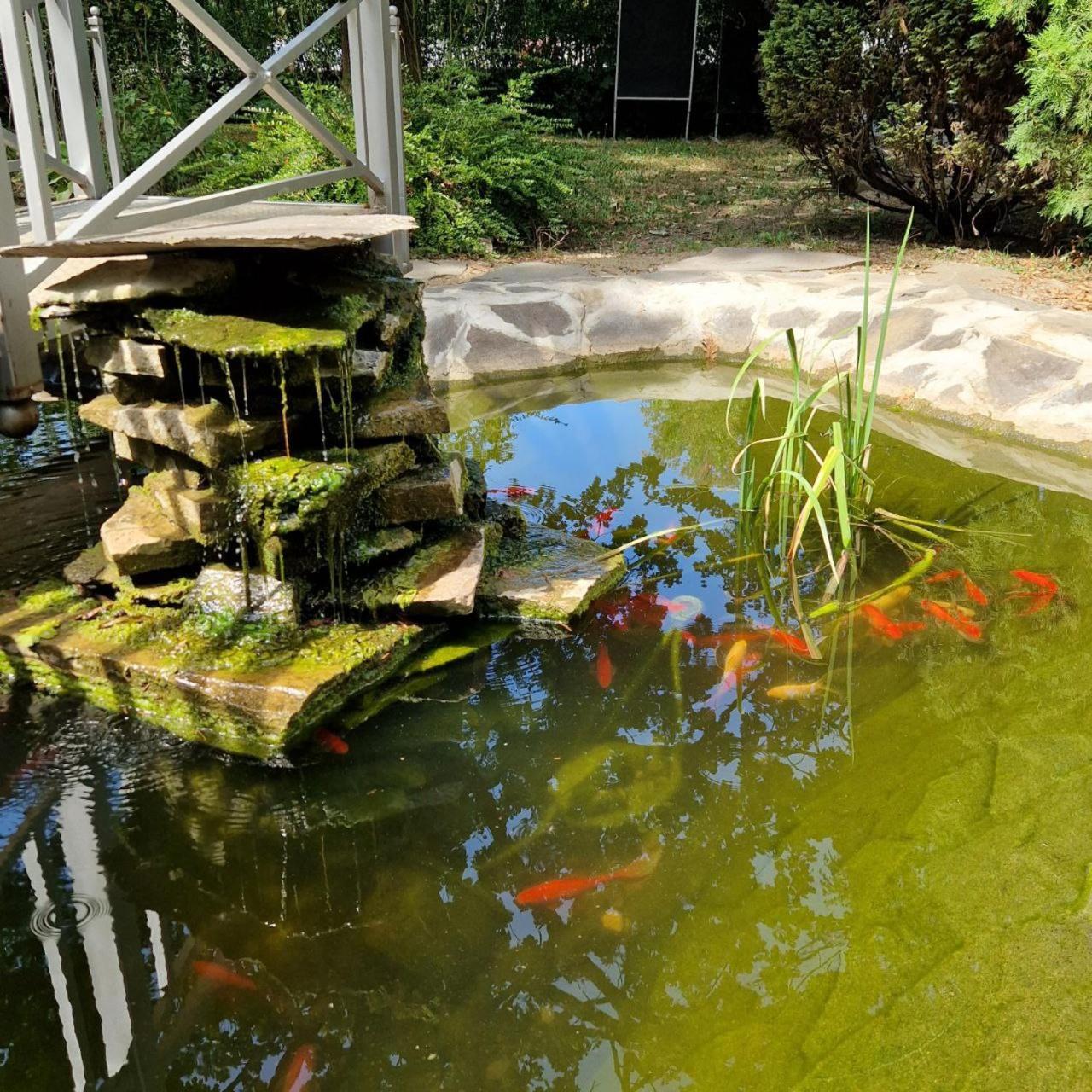 Yanoshi Hotel Helikon מראה חיצוני תמונה